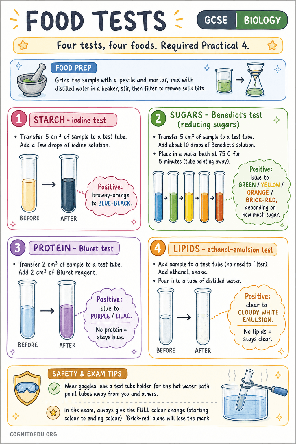 Food Tests - GCSE Biology cheat sheet