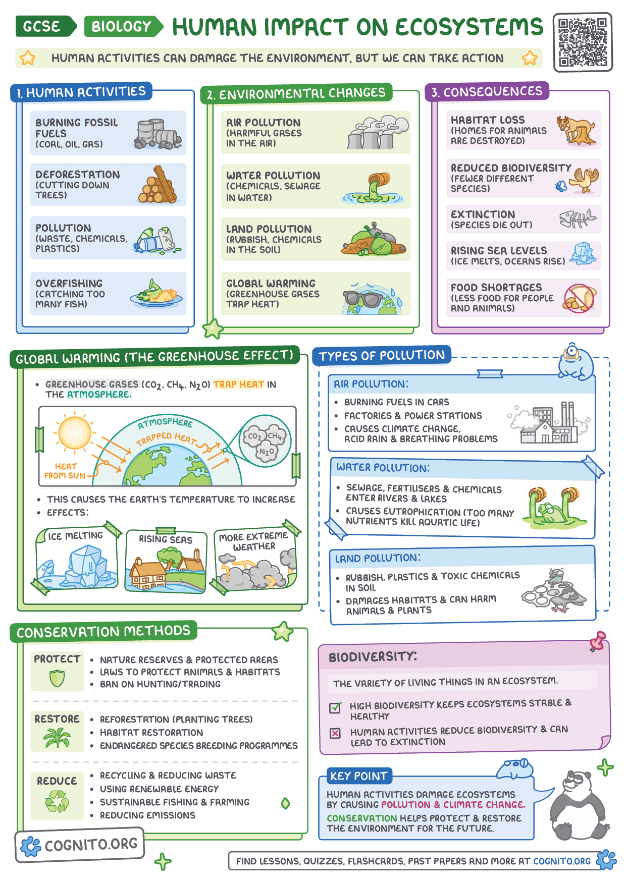 Human Impact on Ecosystems - GCSE Biology cheat sheet