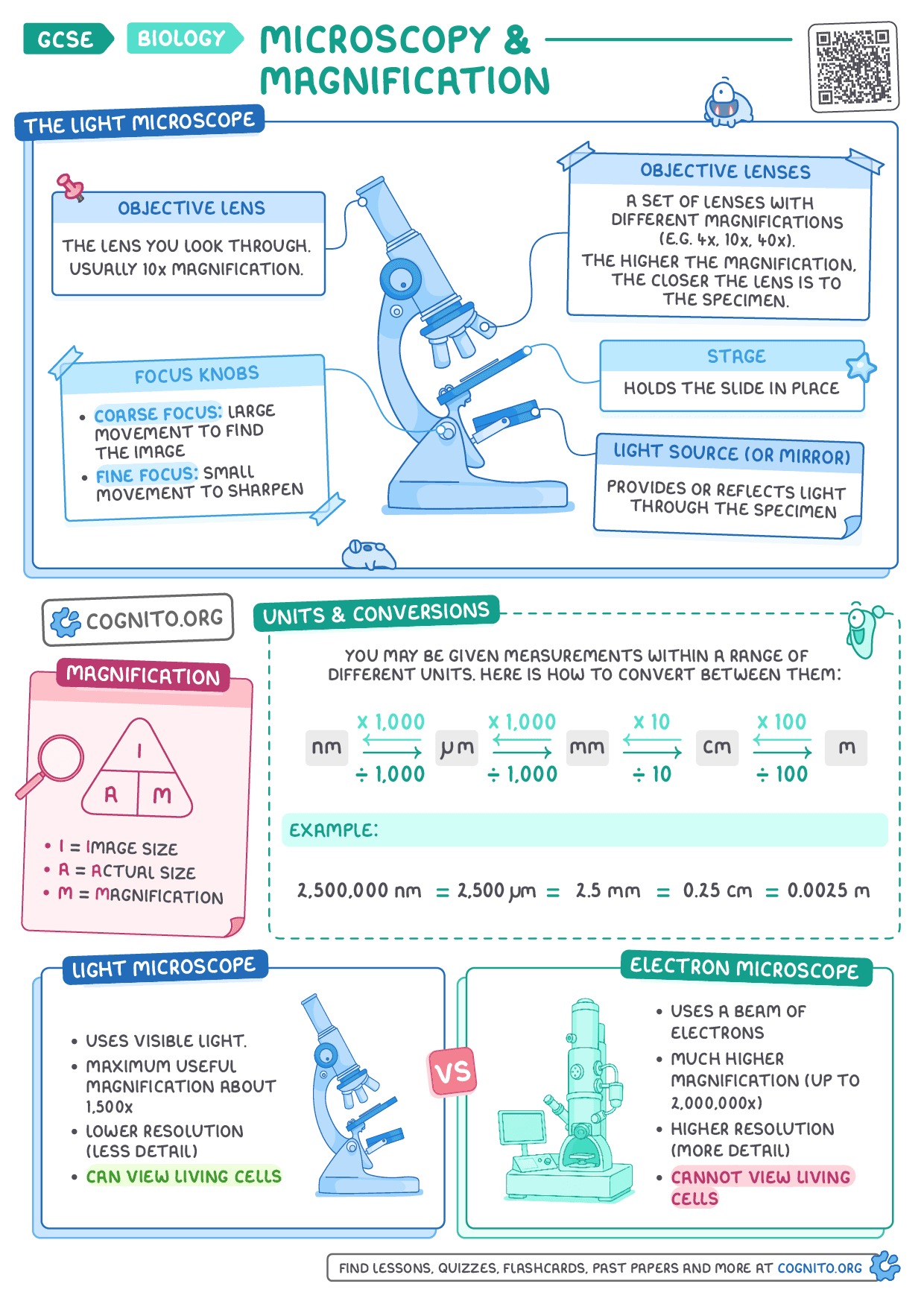 Microscopy & Magnification - GCSE Biology cheat sheet