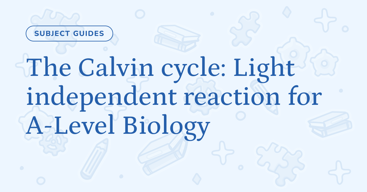 The Calvin cycle: Light independent reaction for A-Level Biology – Cognito