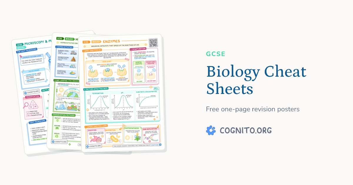 GCSE Biology Cheat Sheets – Free Revision Posters – Cognito